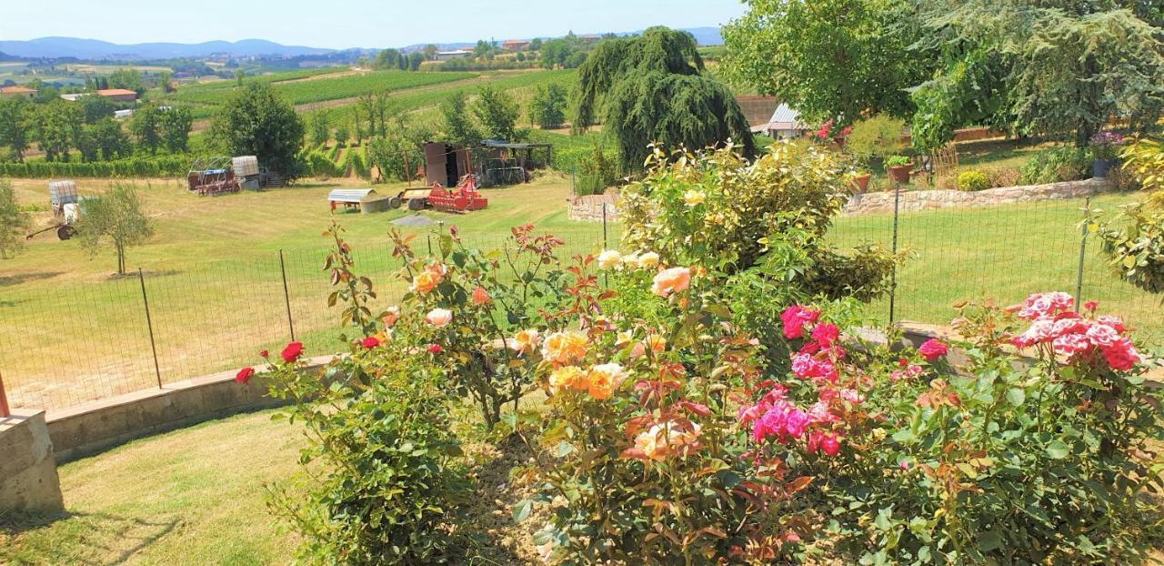 Casina Di Pacina Villa Abbadia di Montepulciano Dış mekan fotoğraf