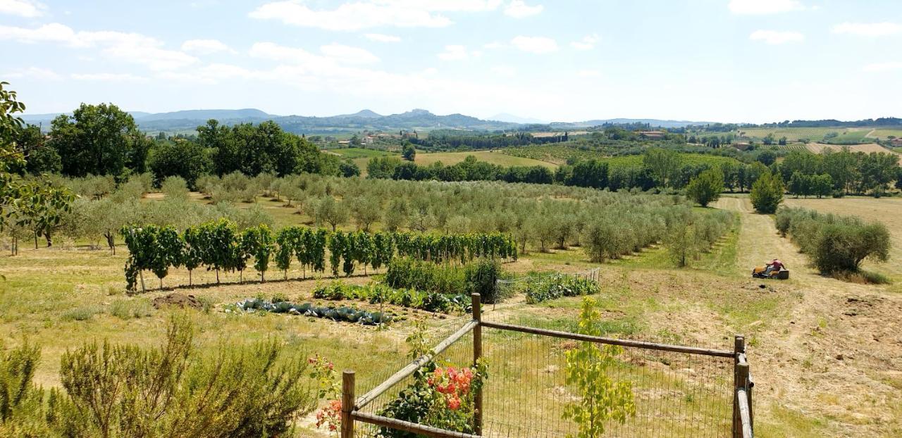 Casina Di Pacina Villa Abbadia di Montepulciano Dış mekan fotoğraf